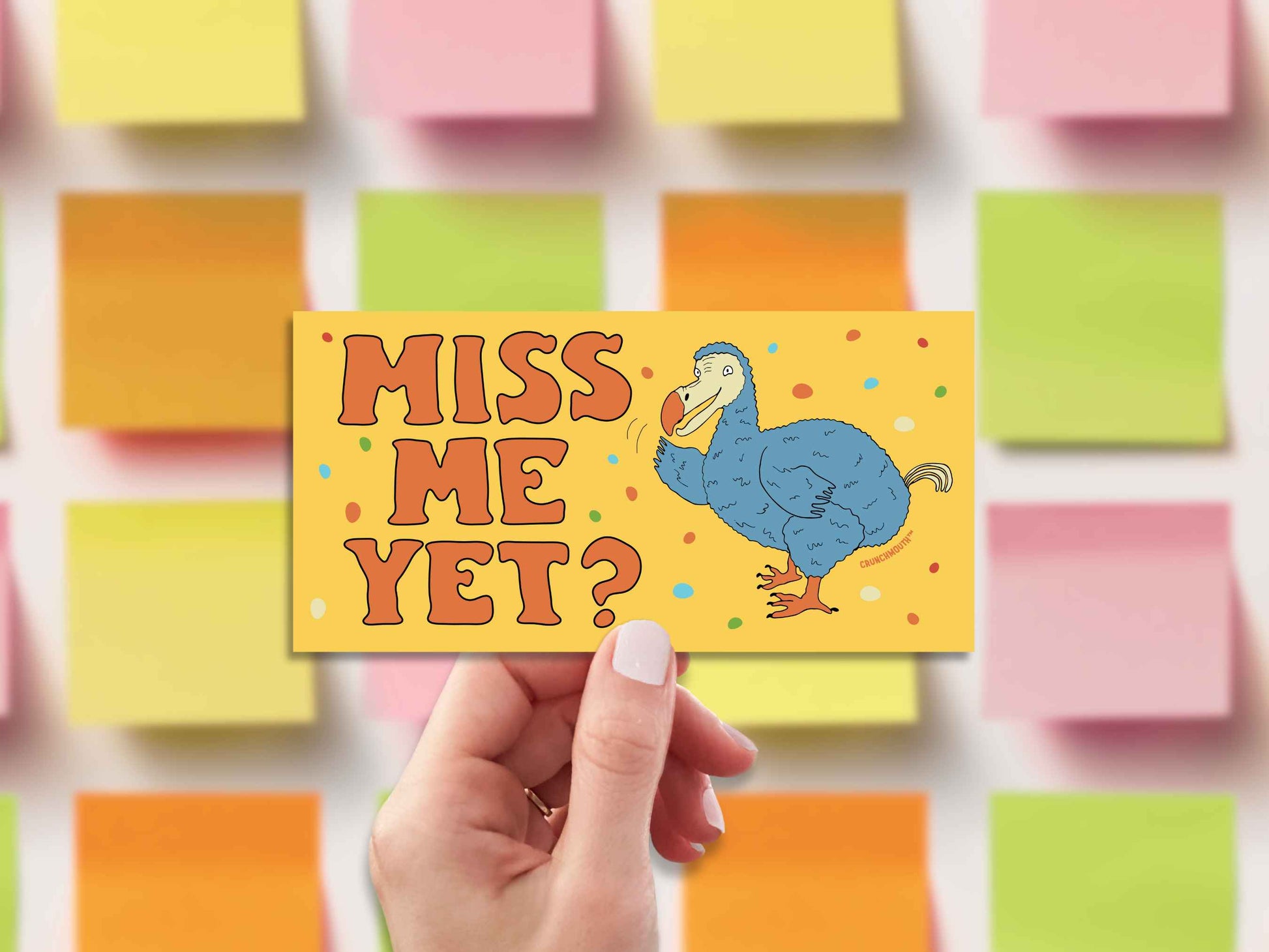 dodo bird bumper sticker, miss me yet?, funny bumper stickers, hand display, sticky notes background