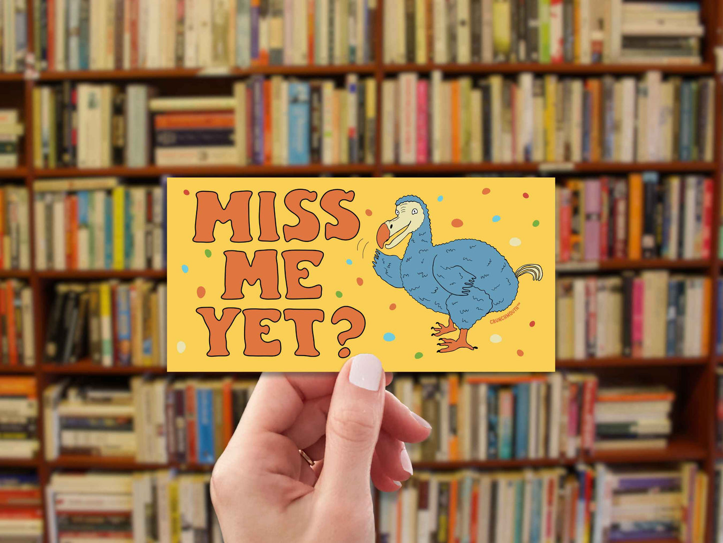dodo bird bumper sticker, miss me yet?, funny bumper stickers, hand display, bookshelf background