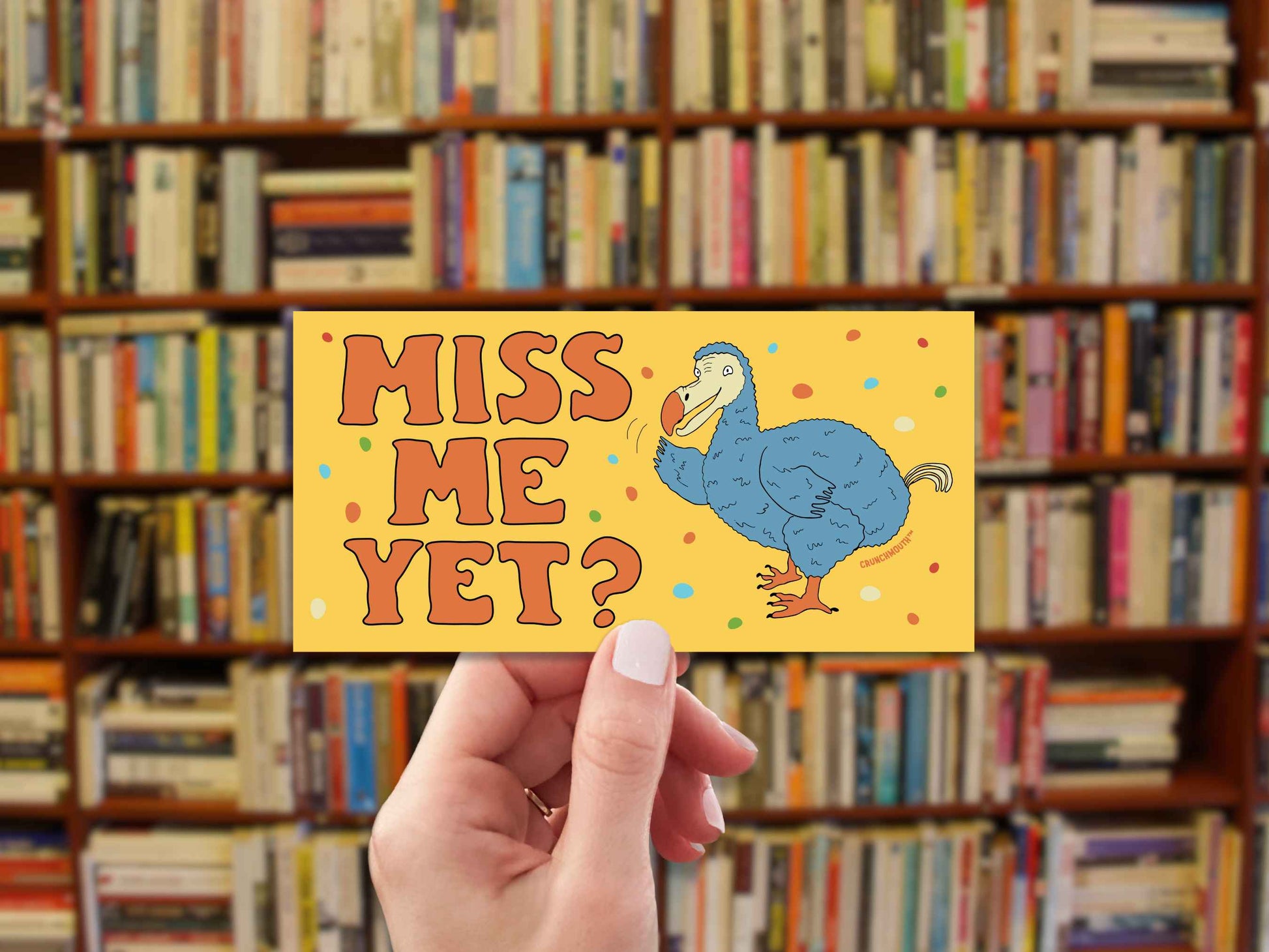dodo bird bumper sticker, miss me yet?, funny bumper stickers, hand display, bookshelf background
