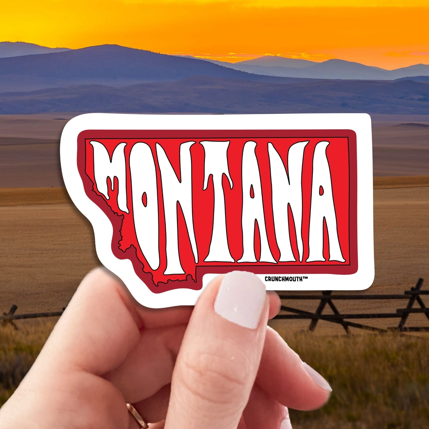 montana travel luggage sticker, hand display, landscape background
