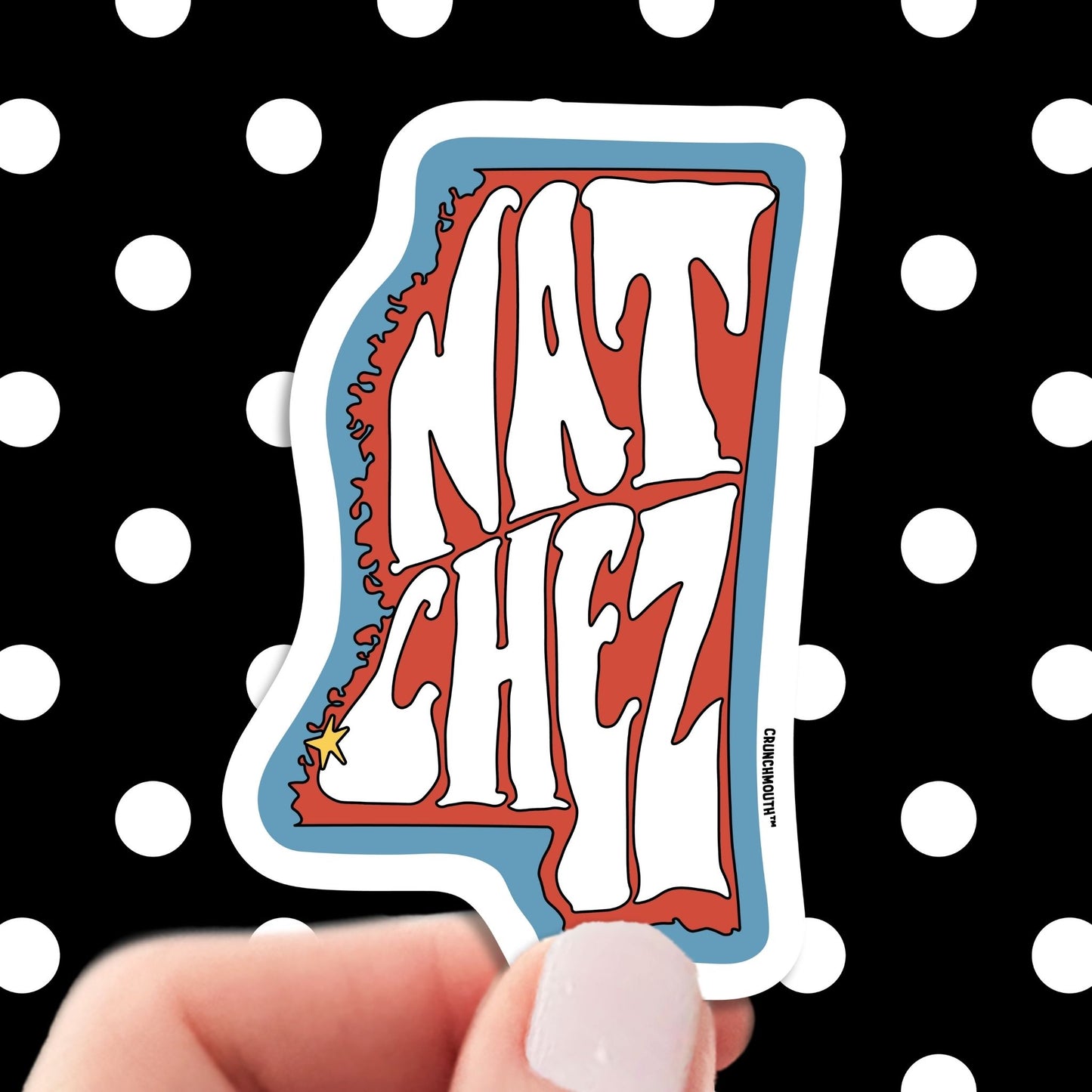 natchez mississippi travel luggage sticker, hand display, polka dots pattern design background