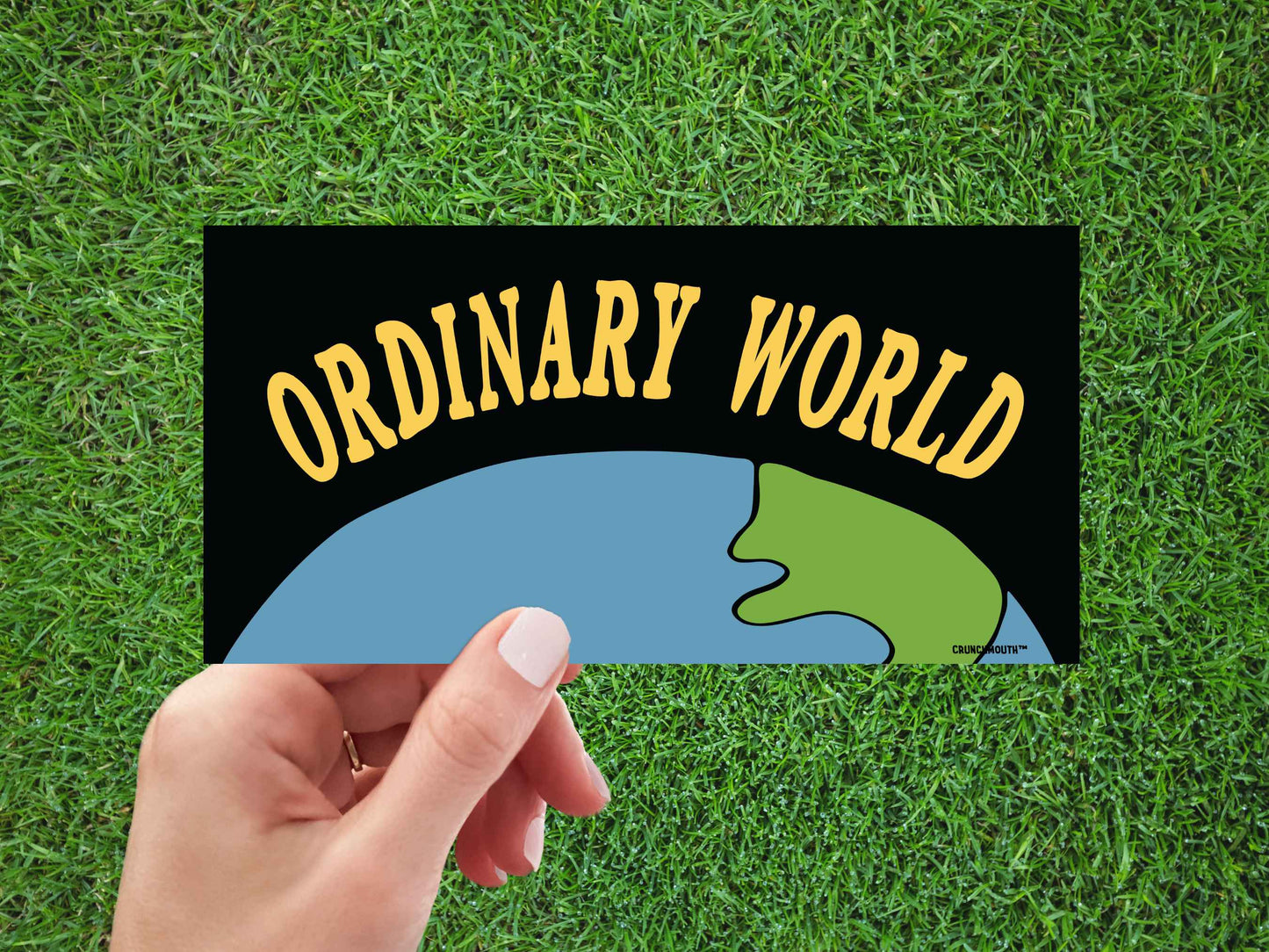 Ordinary World Bumper Sticker