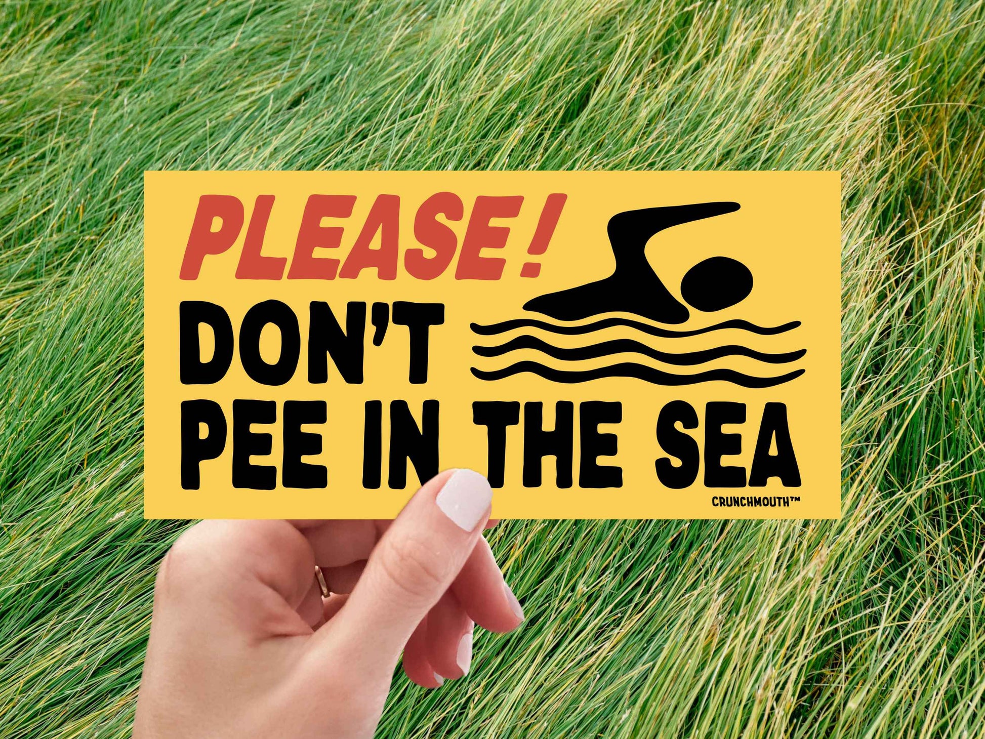 please dont pee in the sea bumper sticker, funny bumper stickers, hand display, green grass background