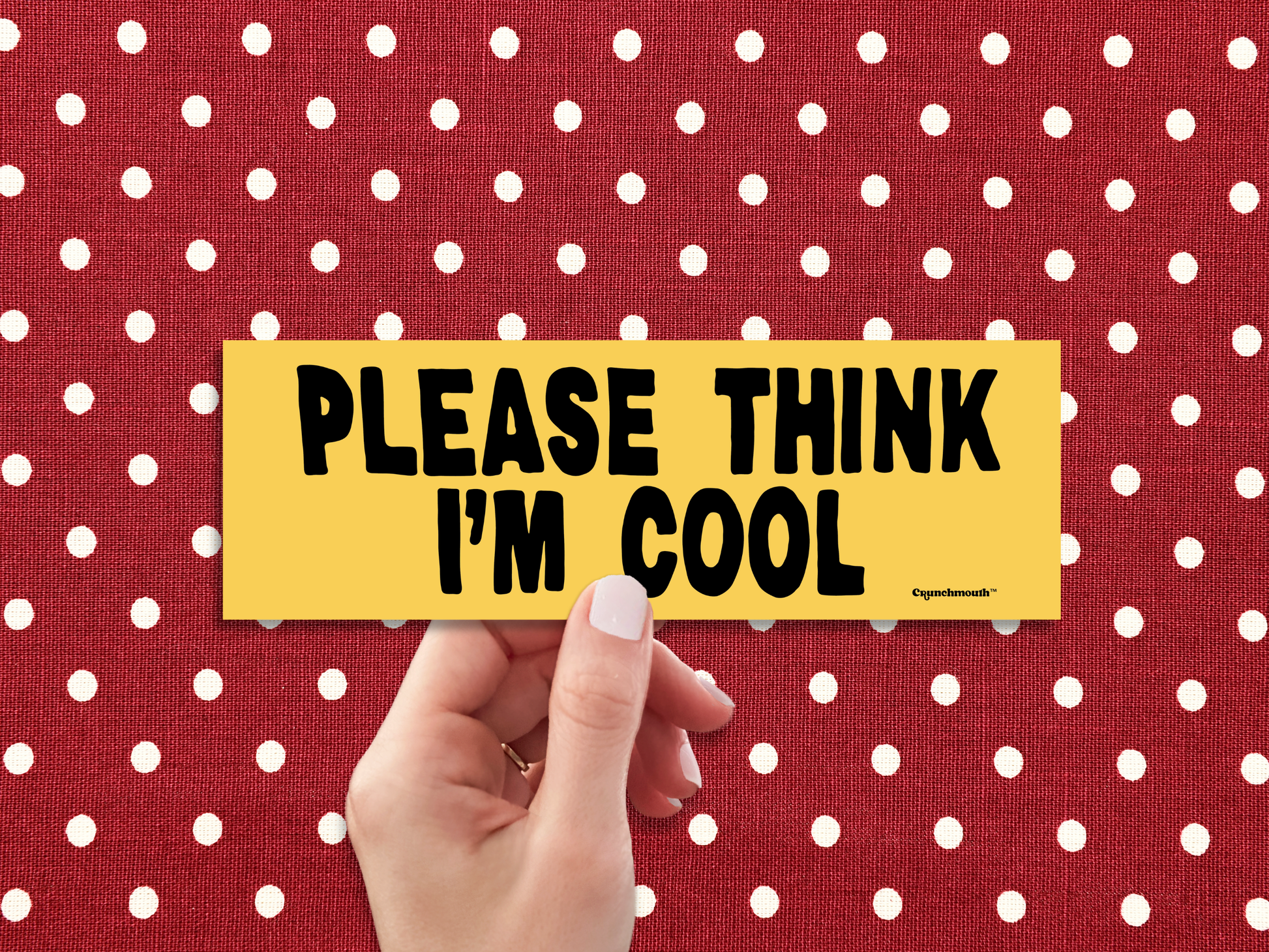 please think i'm cool bumper sticker, funny bumper sticker, hand display, polka dots background