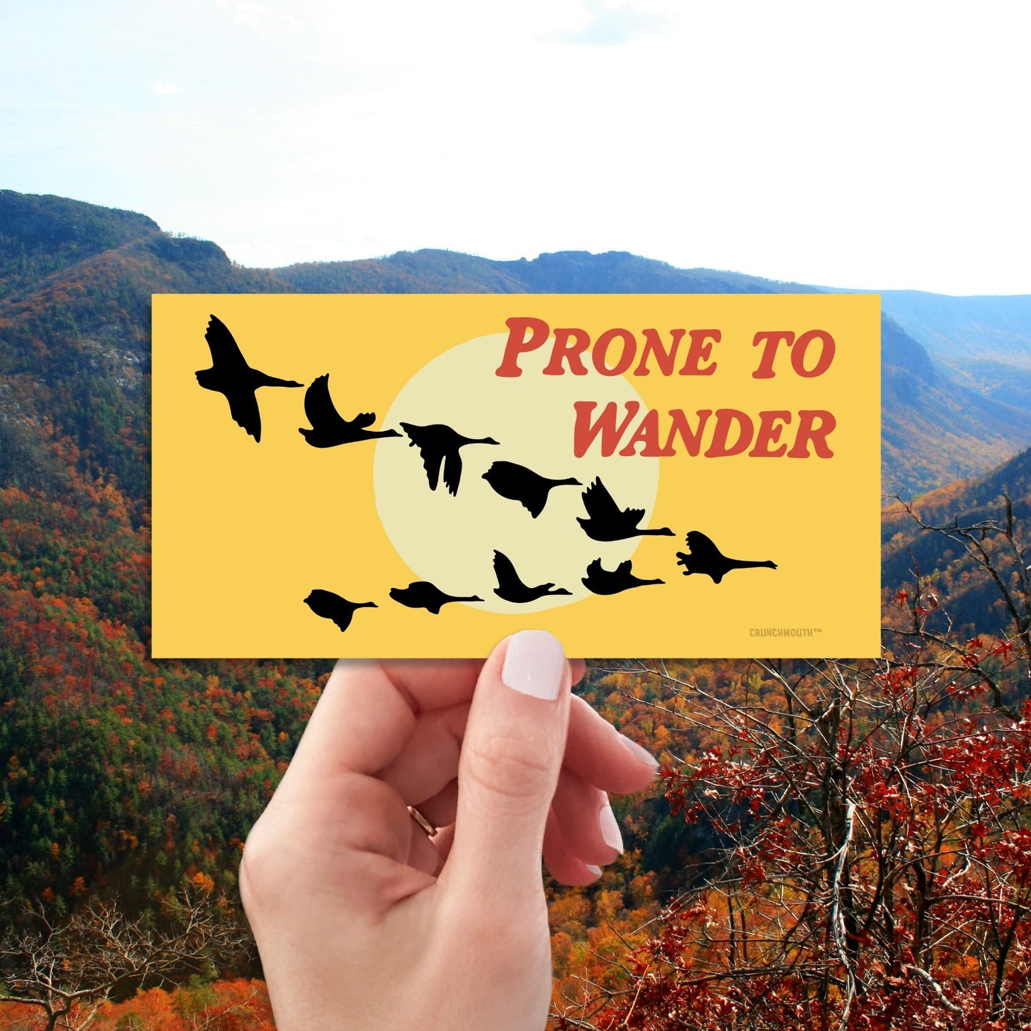 prone to wander Canada geese bumper sticker, hand display, nature background
