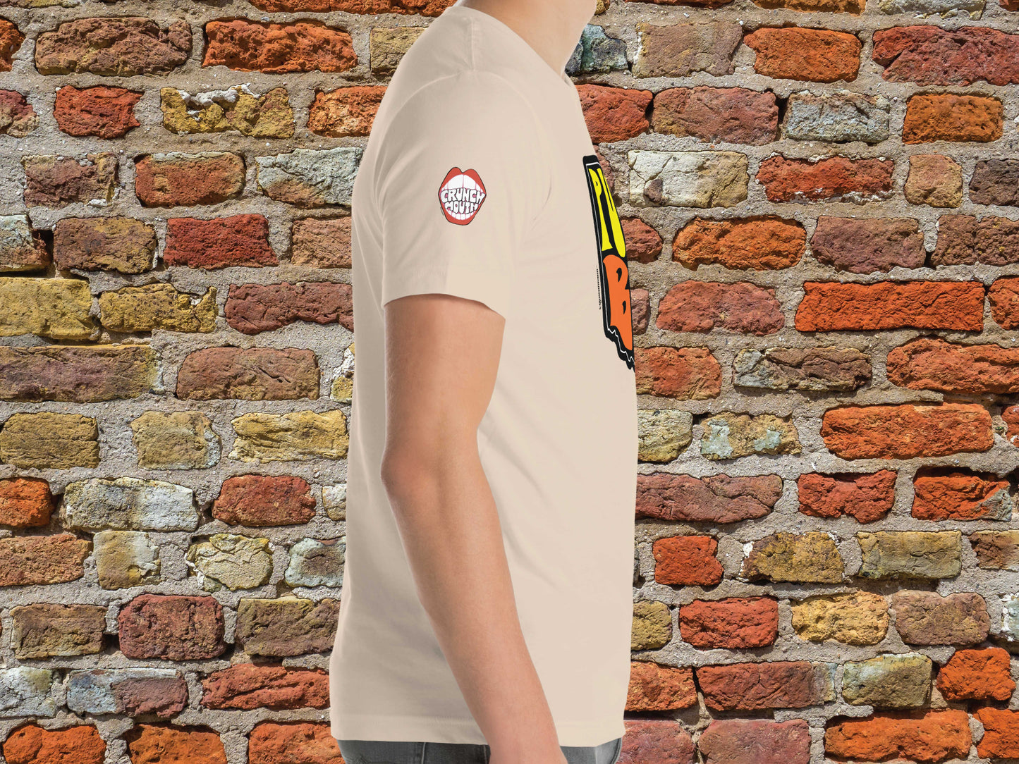 put in bay ohio shirt, right side, male, red brick wall background