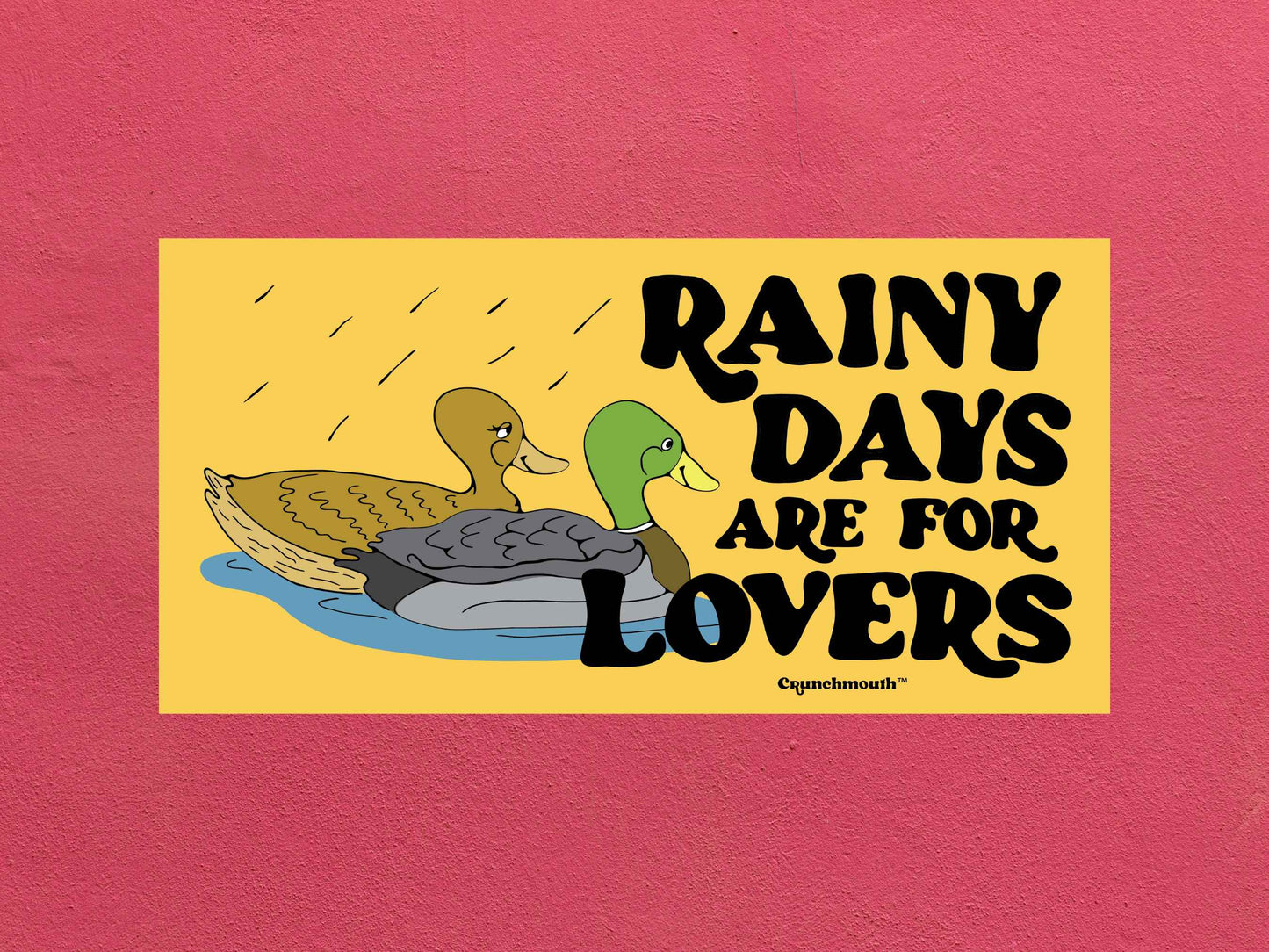 rainy days are for lovers, mallard duck bumper sticker, rose color textured background