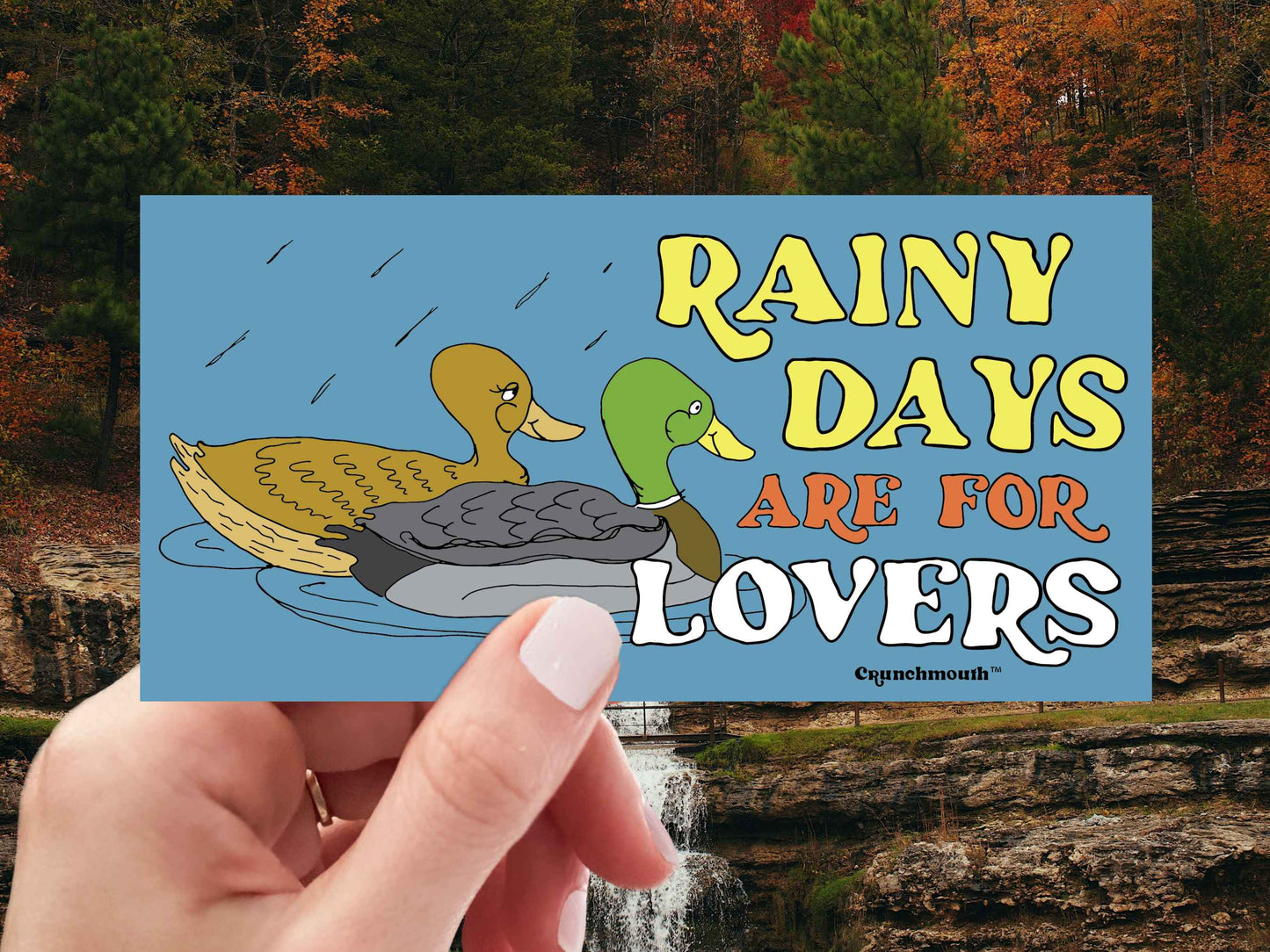 mallard duck sticker, rainy days are for lovers, hand display, mountain stream background