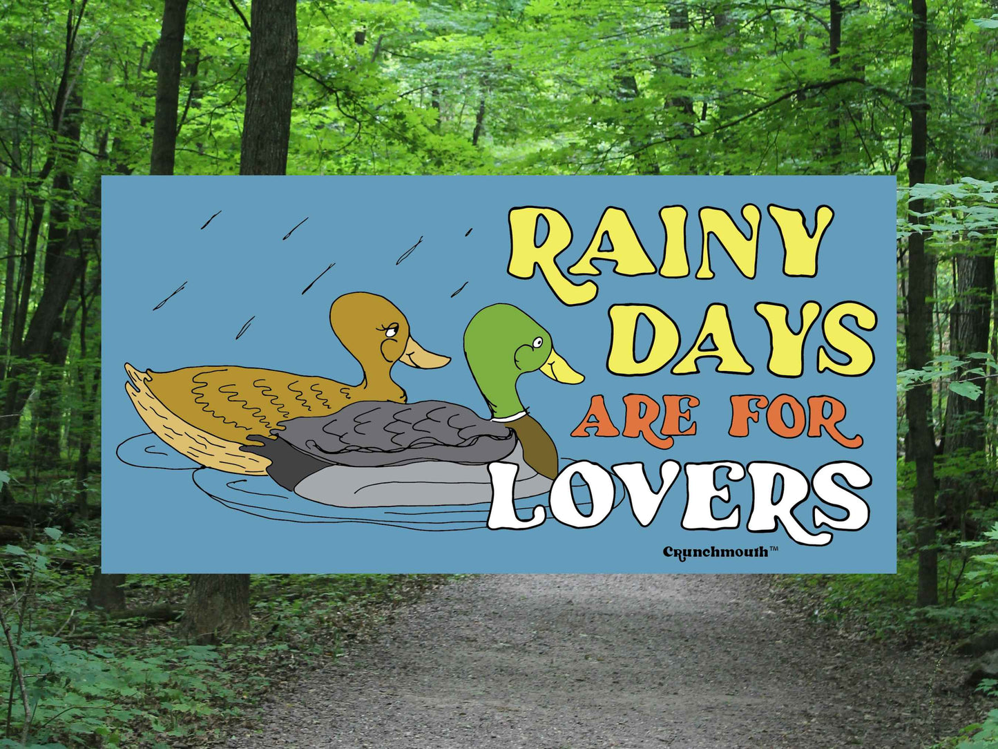 mallard duck sticker, rainy days are for lovers, forest trail background