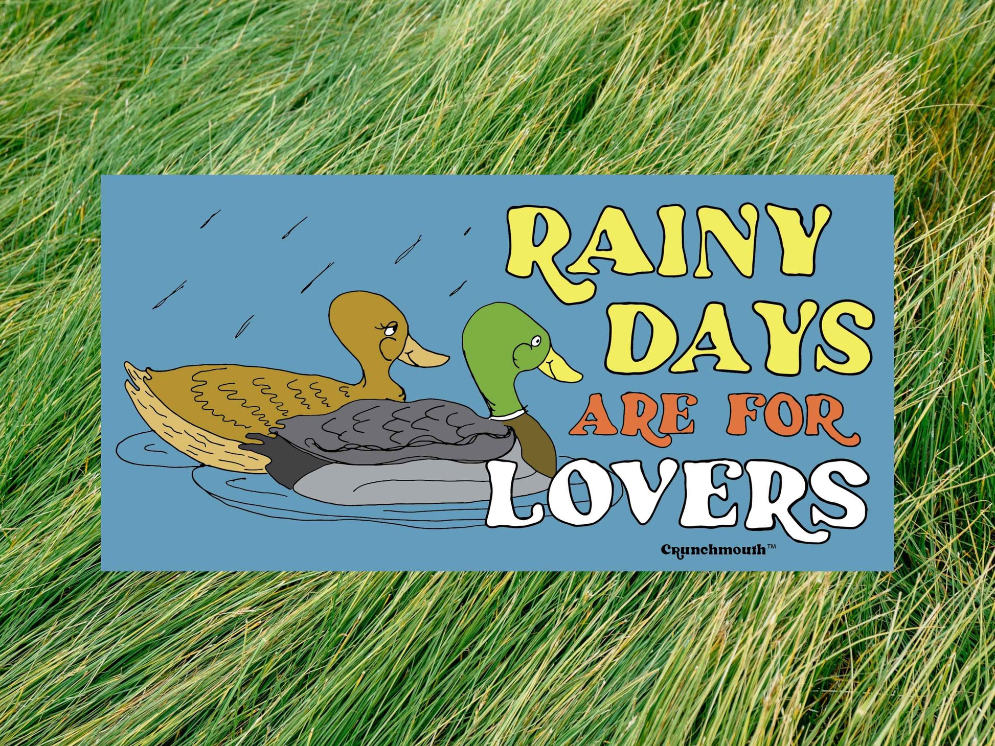 mallard duck sticker, rainy days are for lovers, green grass background