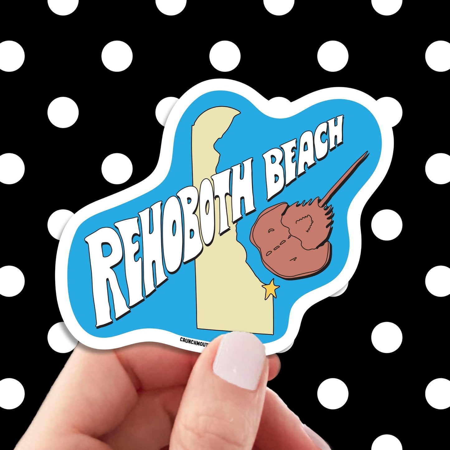 Rehoboth beach travel luggage sticker, hand display, polka dots pattern design background
