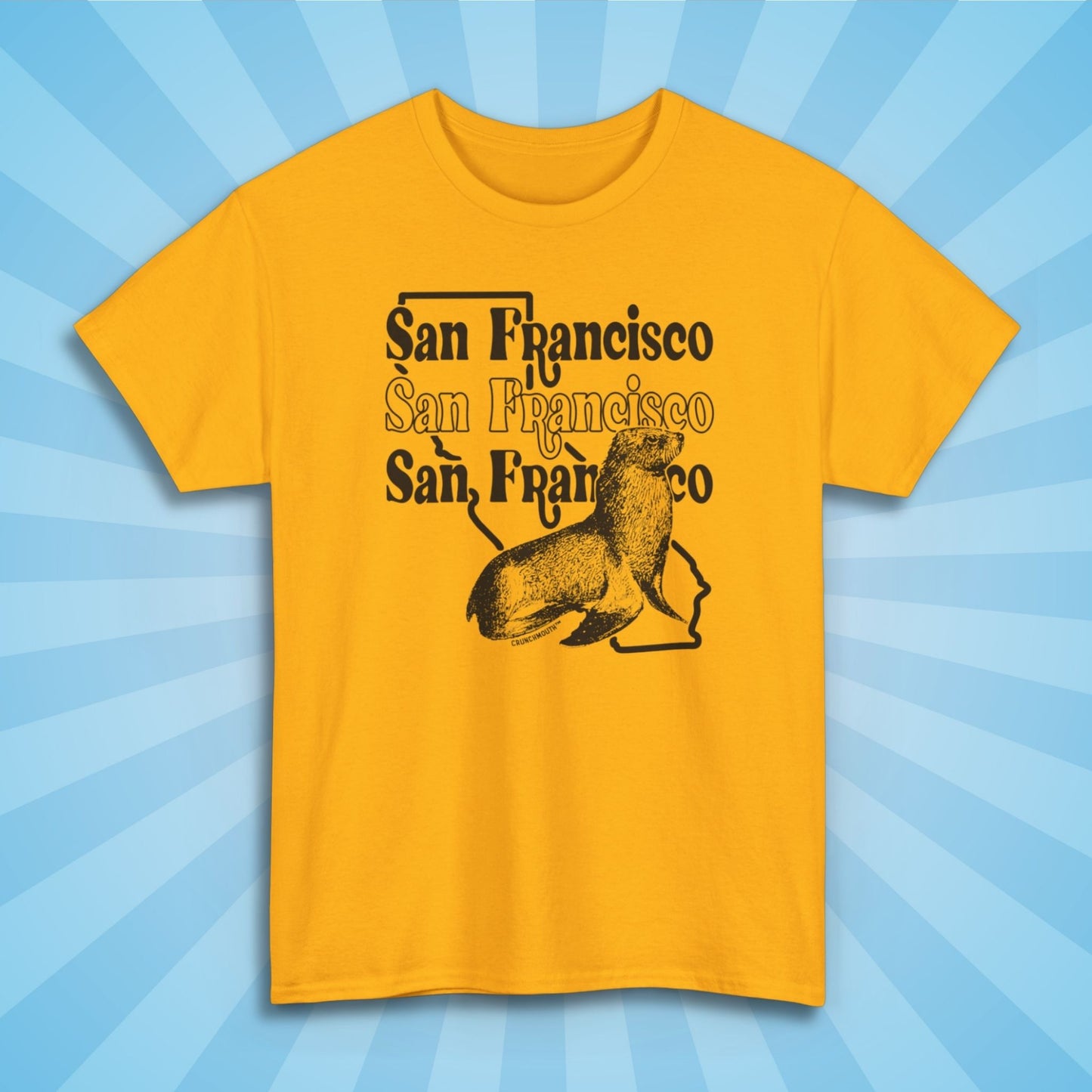 san francisco sea lion shirt, sun rays design background
