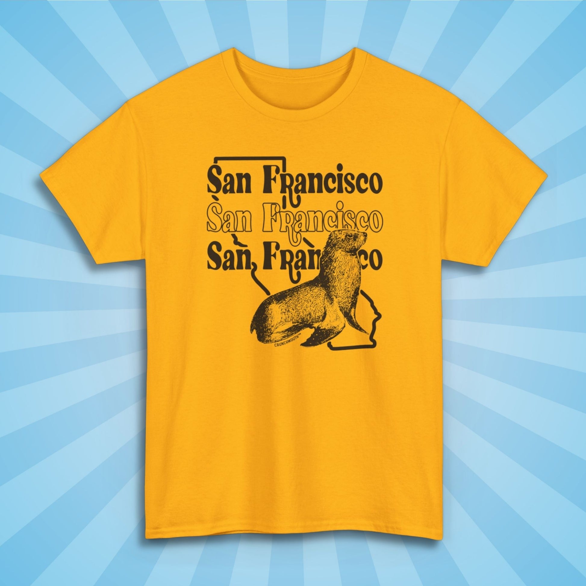 san francisco sea lion shirt, sun rays design background