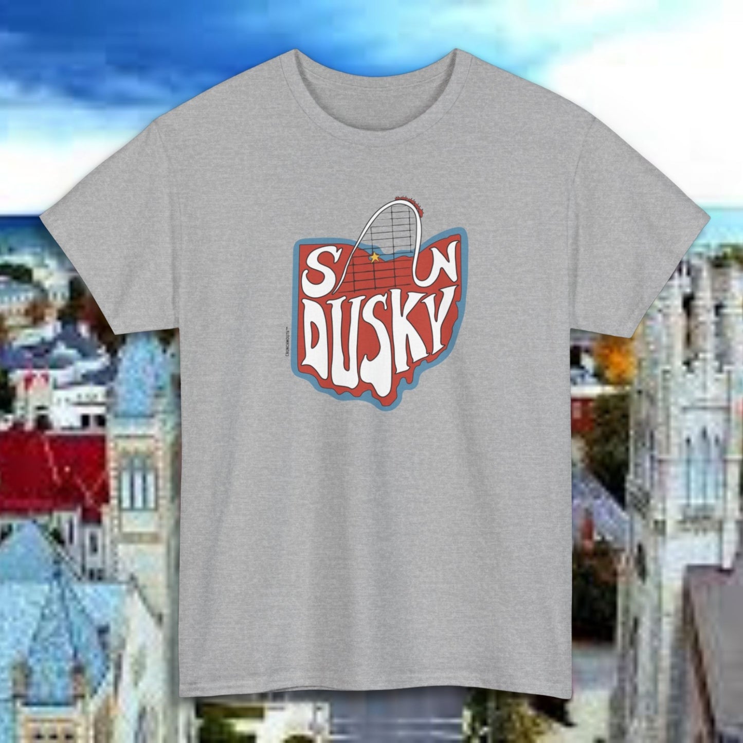 sandusky ohio shirt, sport grey color, flat, sandusky cityscape background