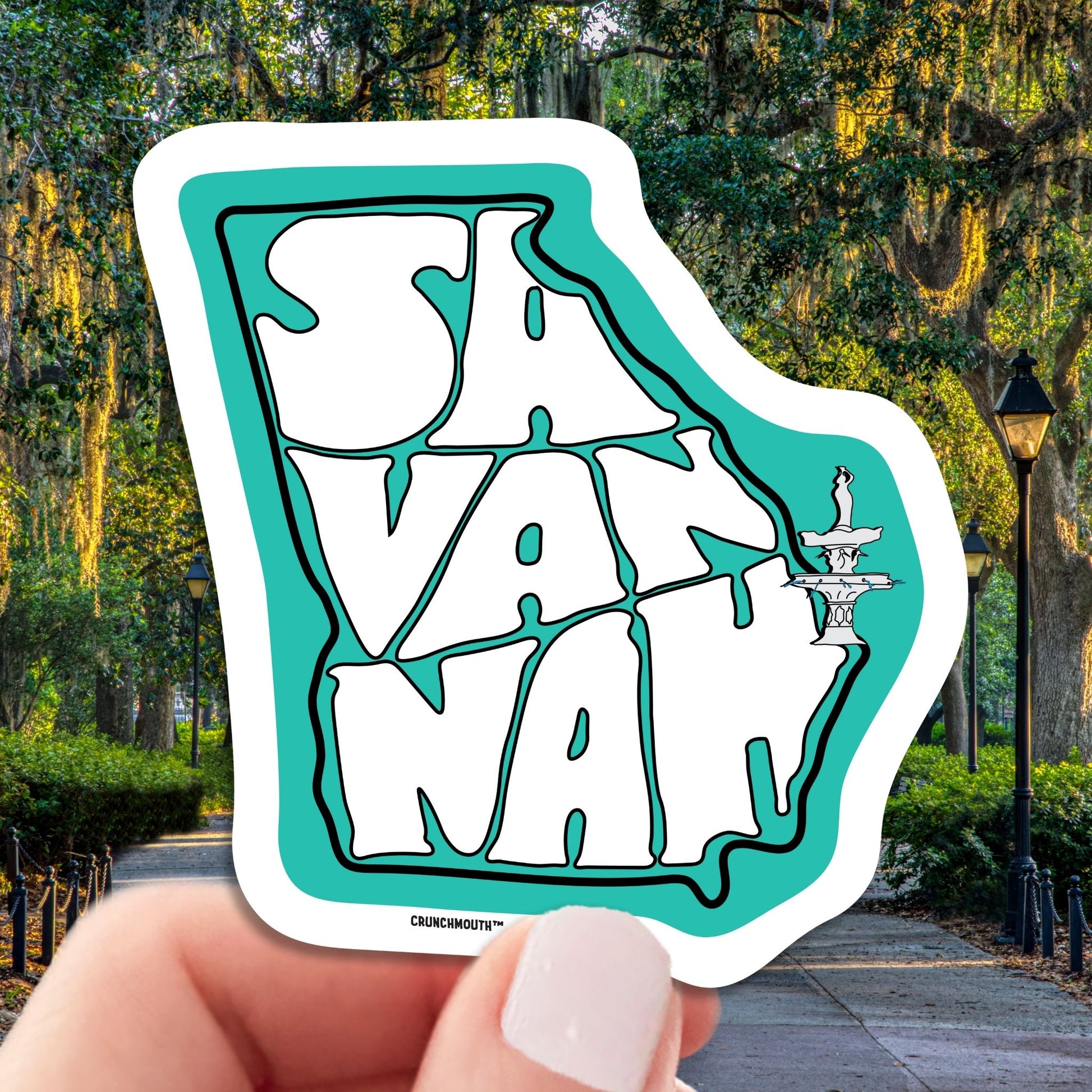 savannah georgia travel luggage sticker, hand display, savannah background