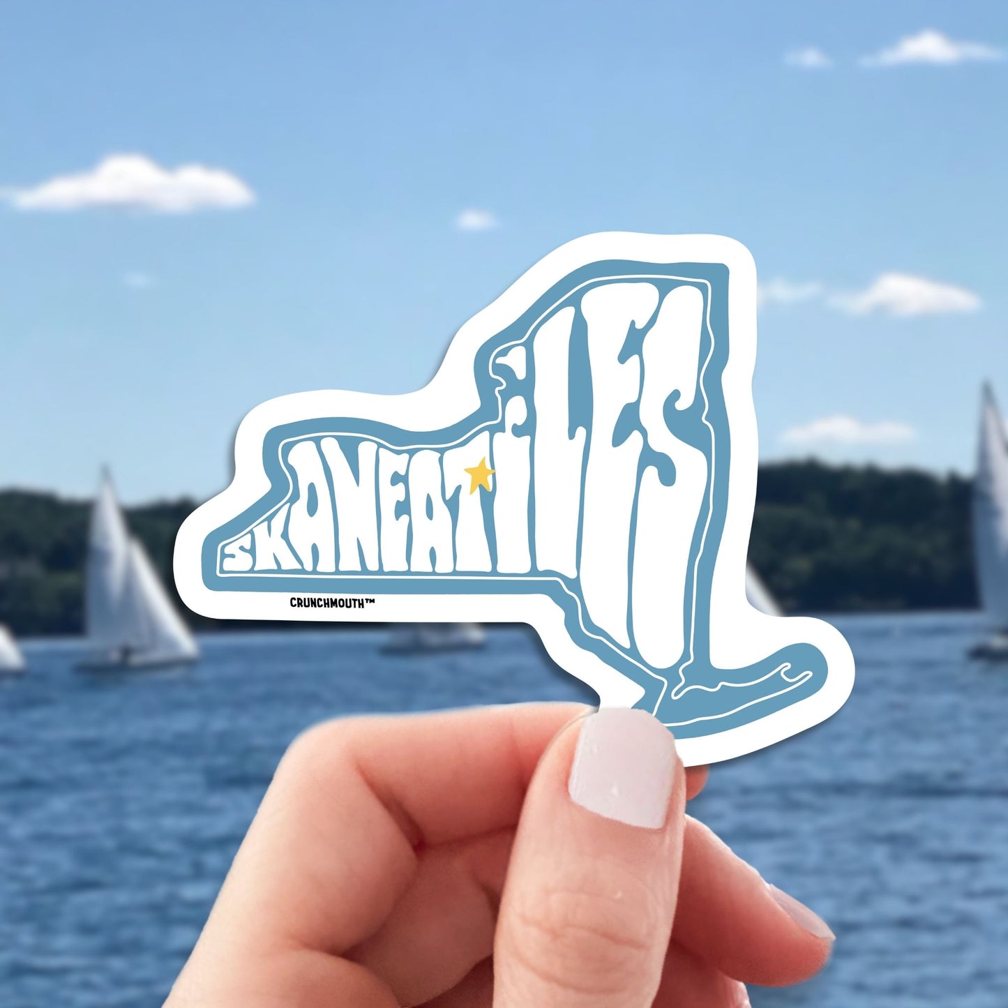 skaneateles new york travel luggage sticker, hand display, sailboats background
