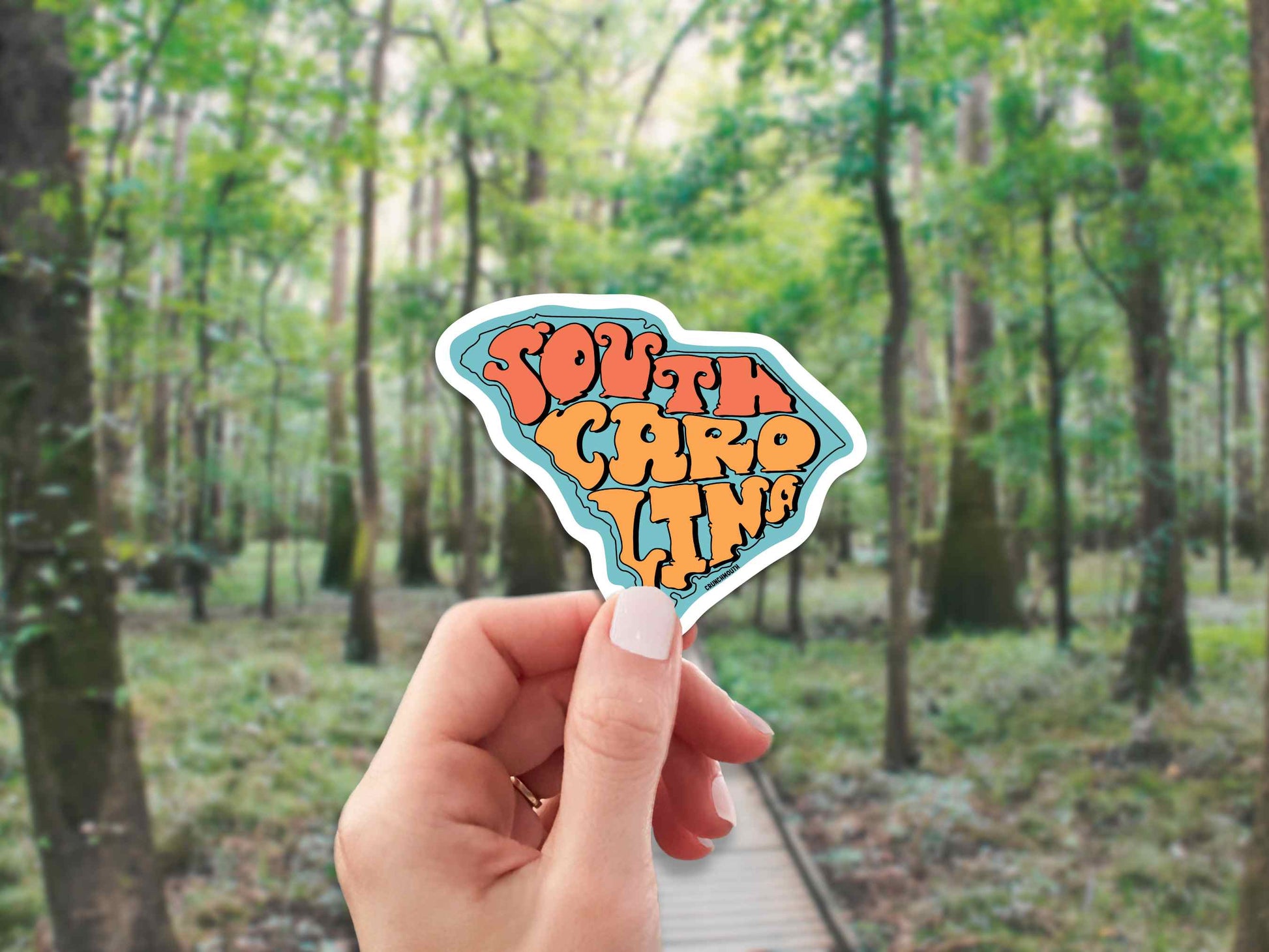 south carolina state travel luggage sticker, hand display, forest background