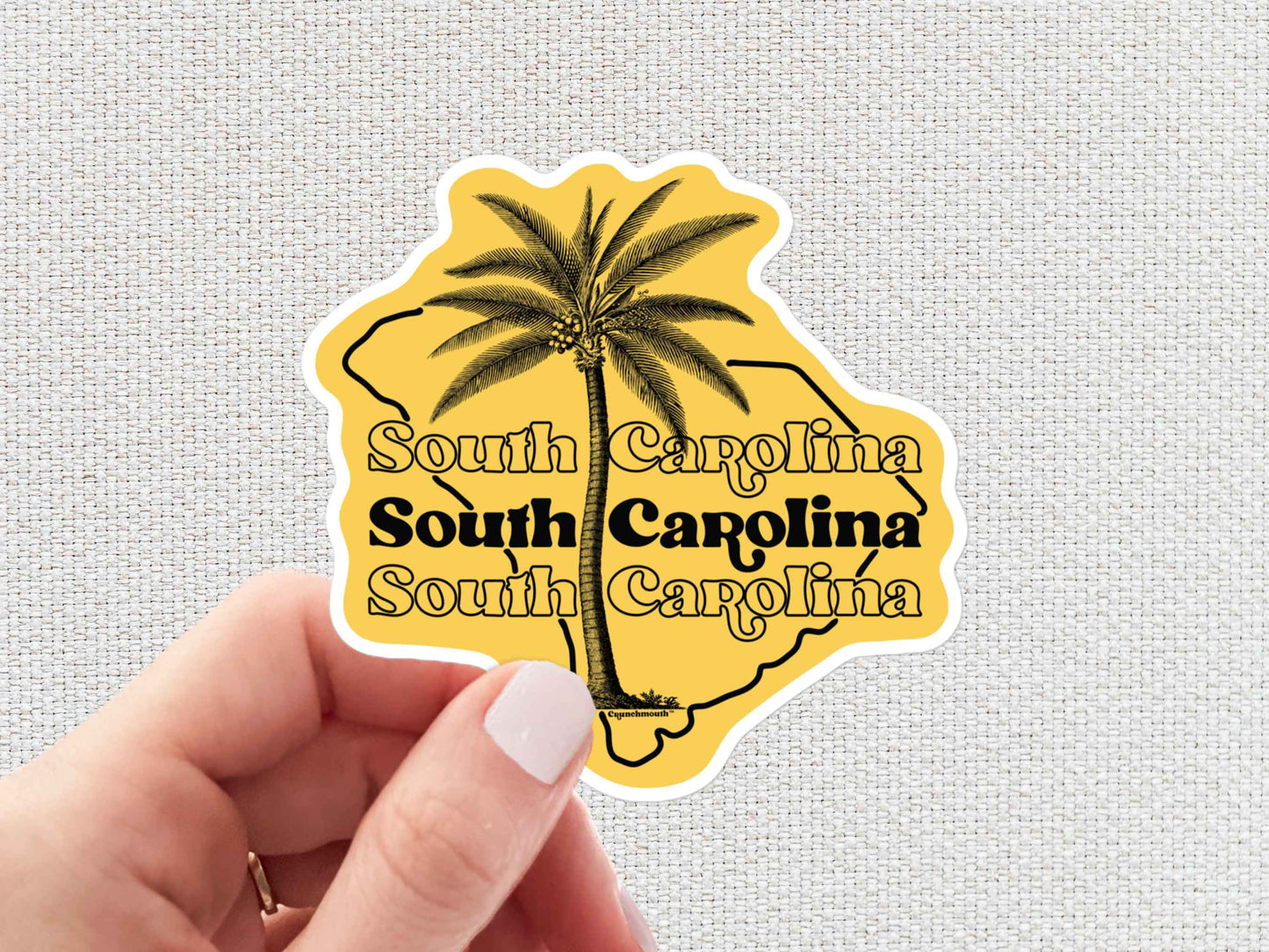 south carolina travel luggage sticker, hand display, white textured background