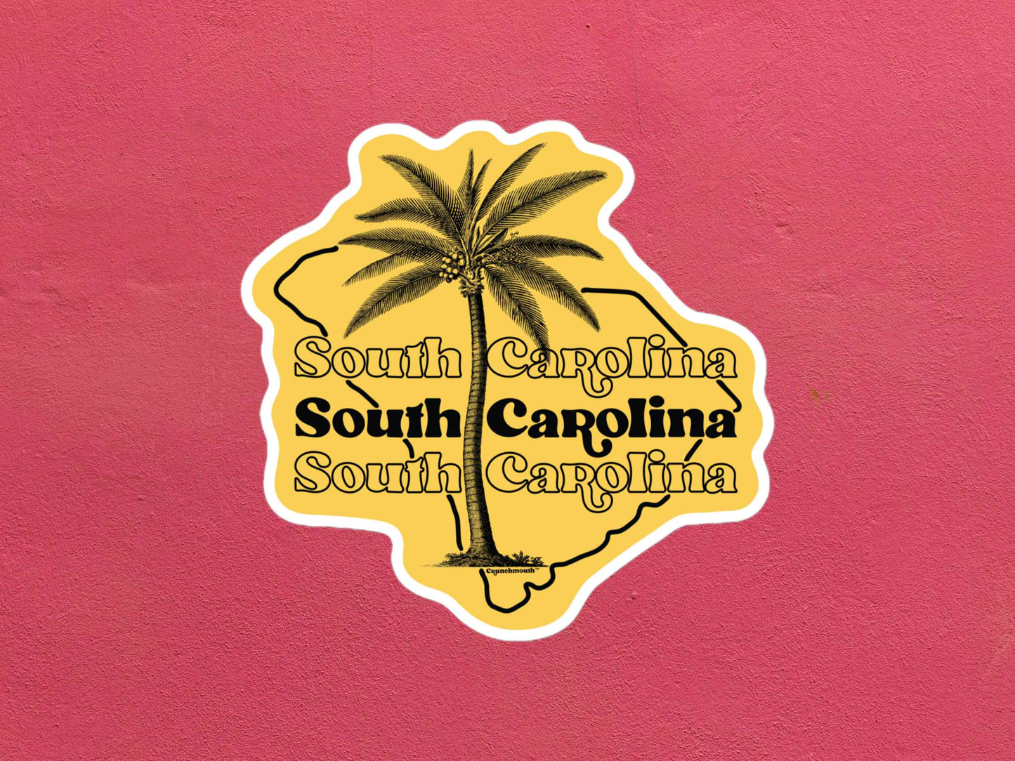 south carolina travel luggage sticker, rose color textured background