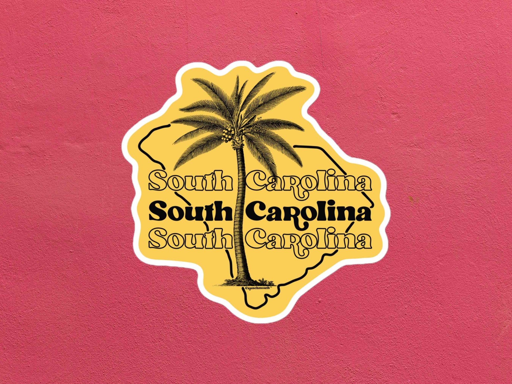 south carolina travel luggage sticker, rose color textured background