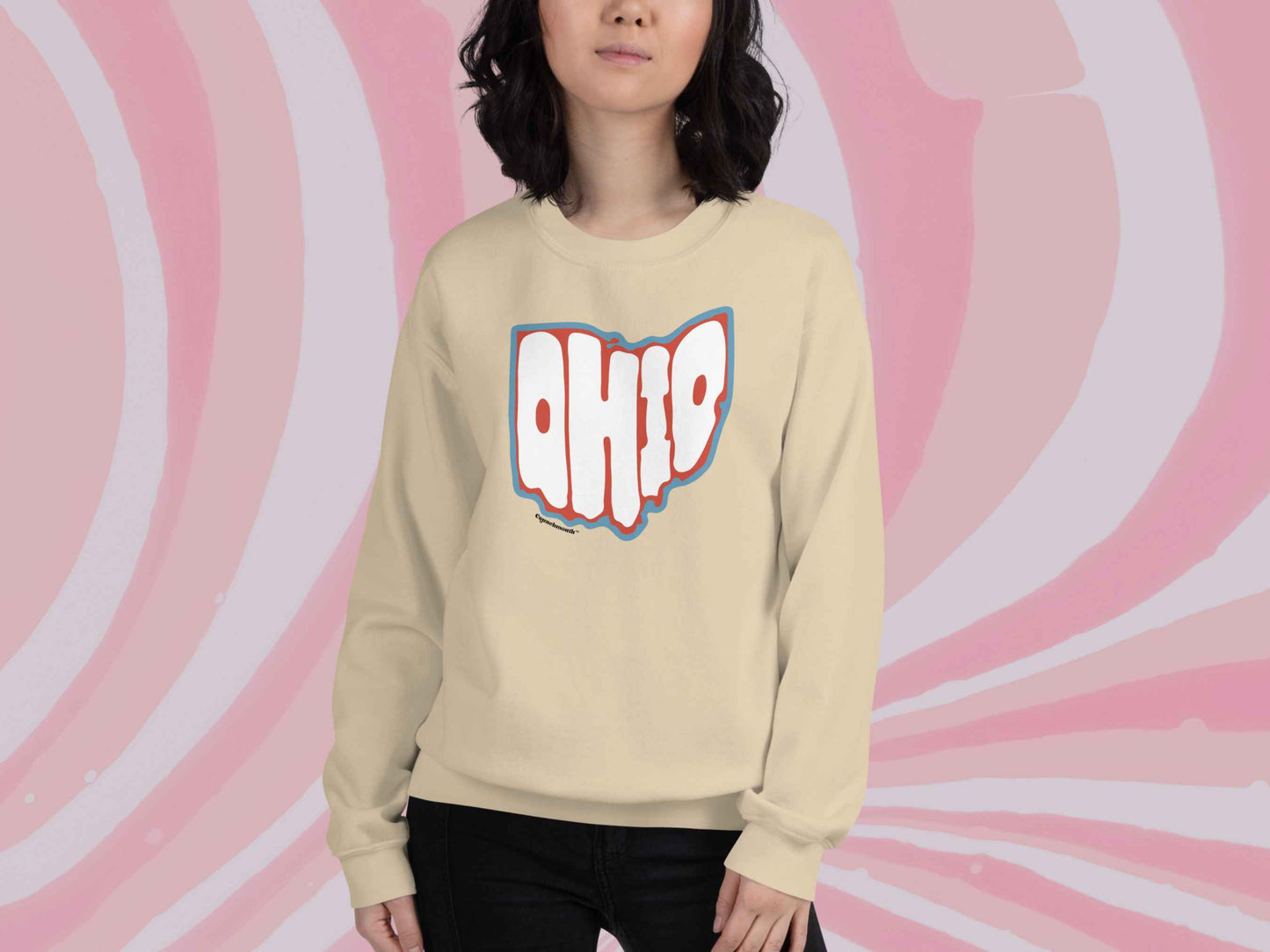 state of ohio sweatshirt, retro crewneck sweatshirts, female model, front, pink swirl background