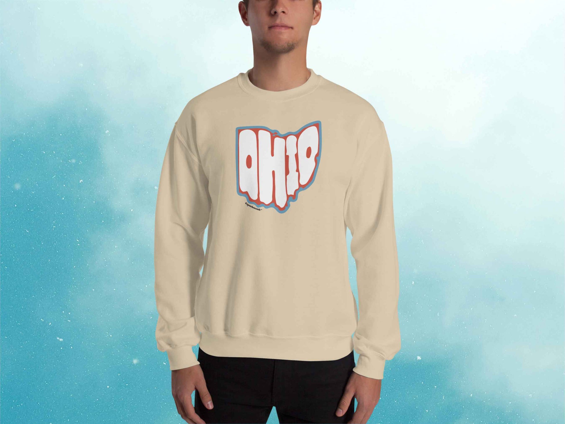 state of ohio sweatshirt, retro crewneck sweatshirts, male model, front, blue sky background