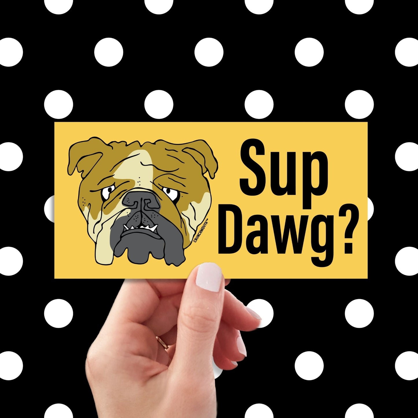 sup dawg? funny bumper sticker, hand display, polka dots pattern design background
