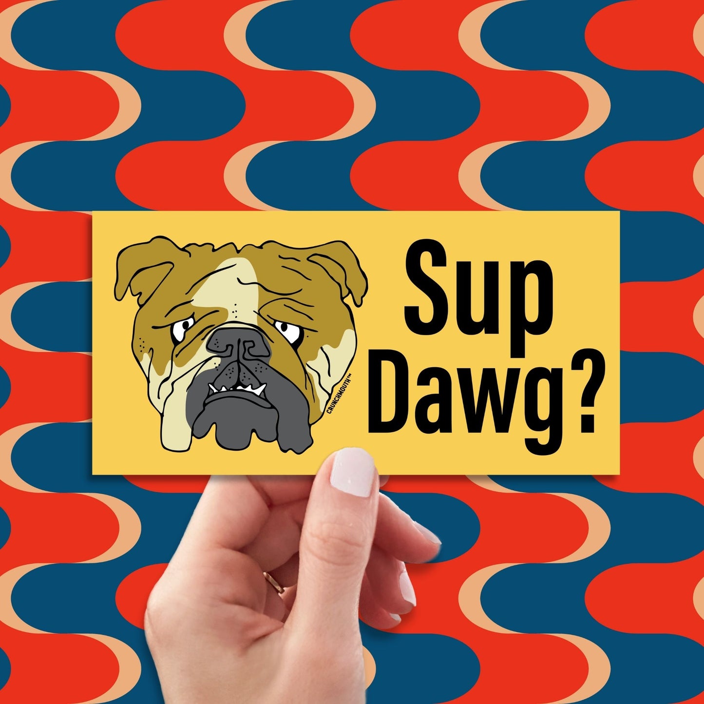sup dawg? funny bumper sticker, hand display, retro design background
