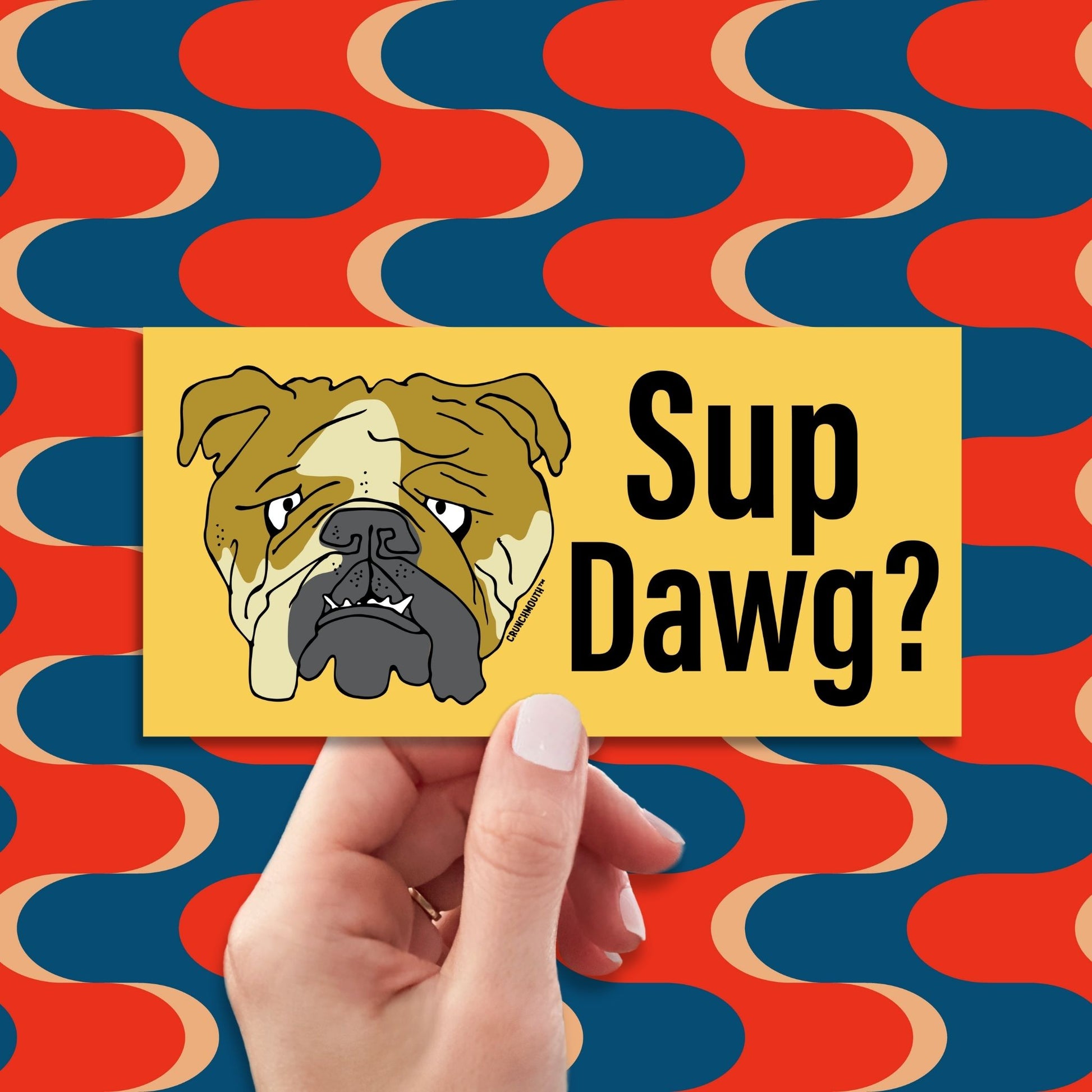 sup dawg? funny bumper sticker, hand display, retro design background
