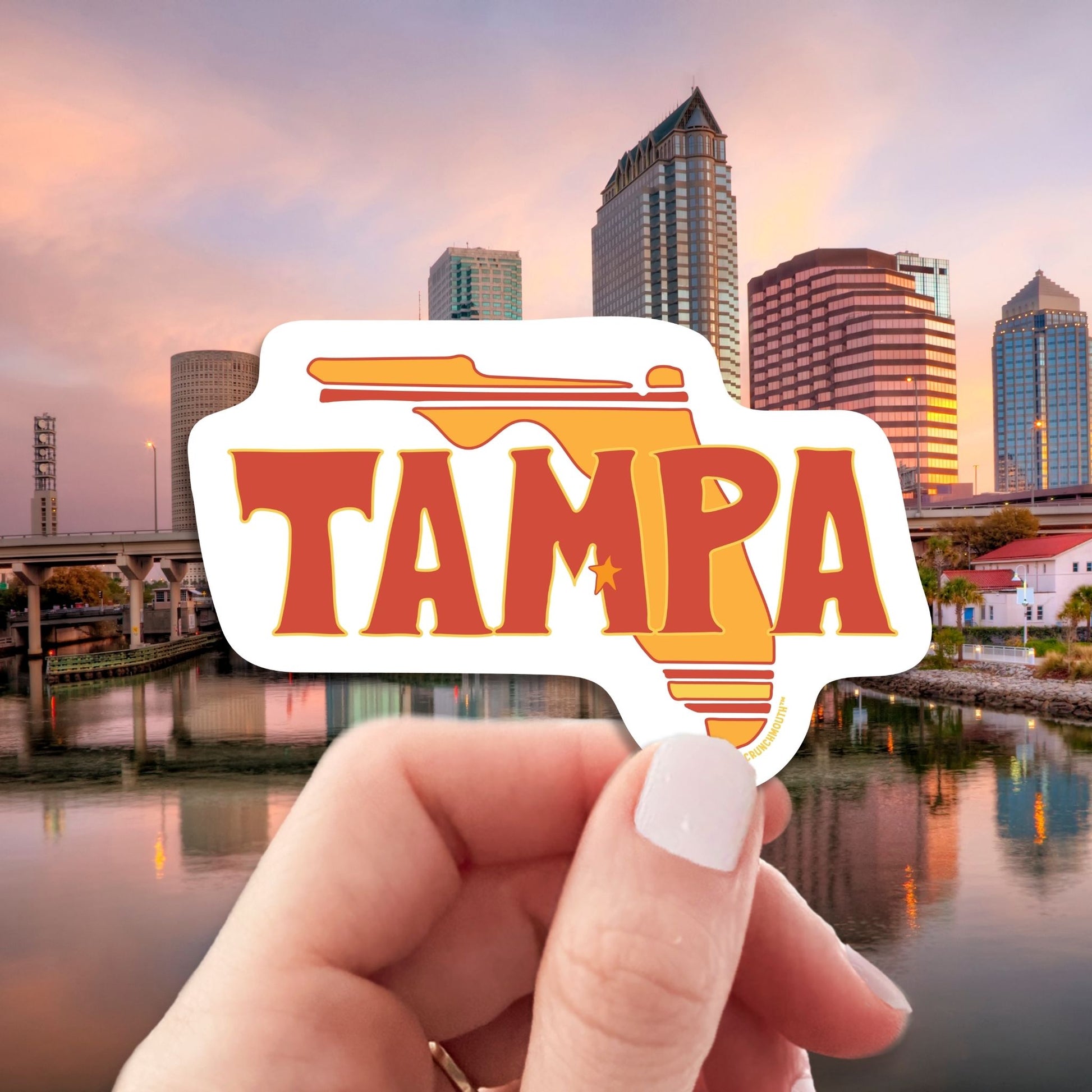 tampa florida travel luggage sticker, hand display, skyline background