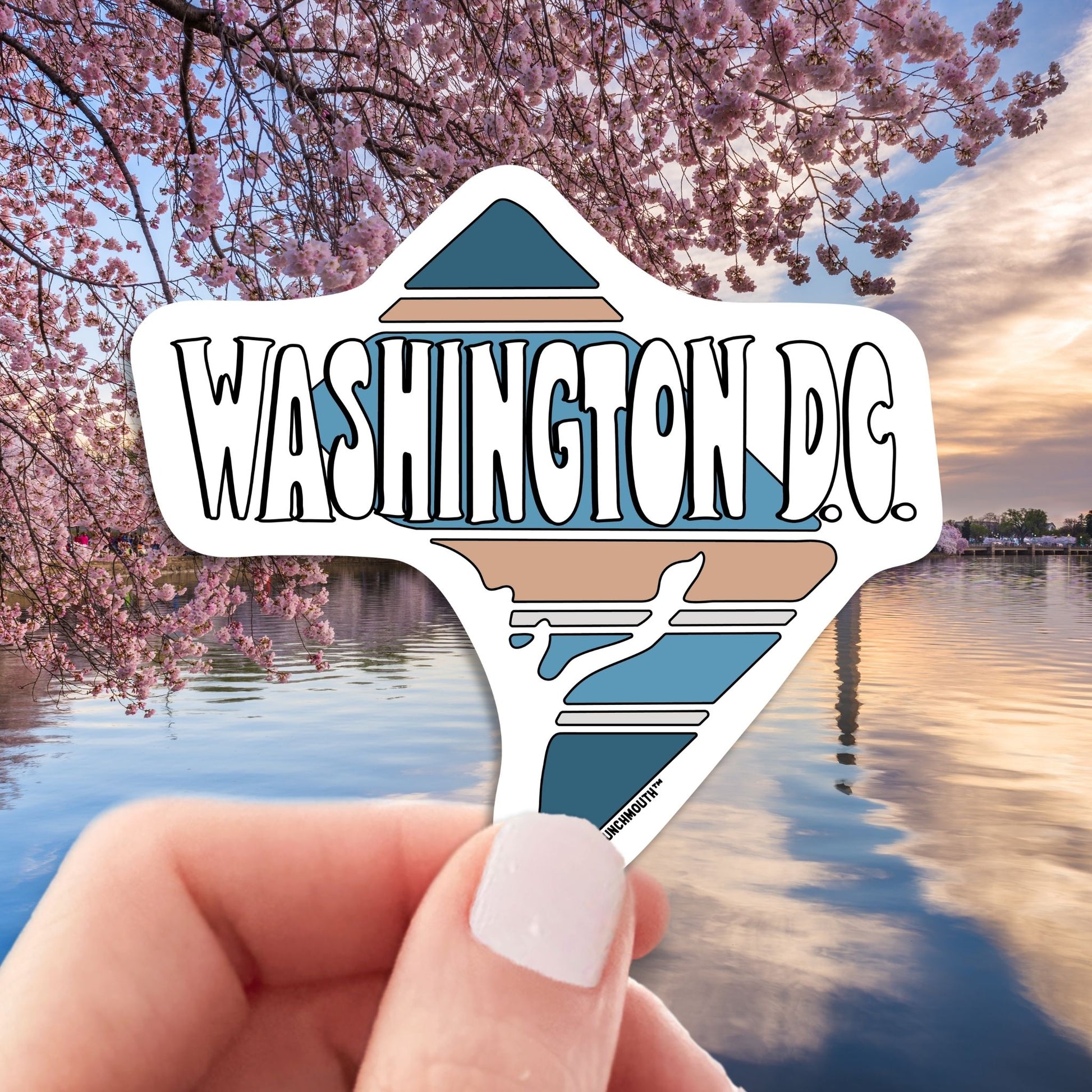 Washington dc travel luggage sticker, hand display, Washington dc in spring background
