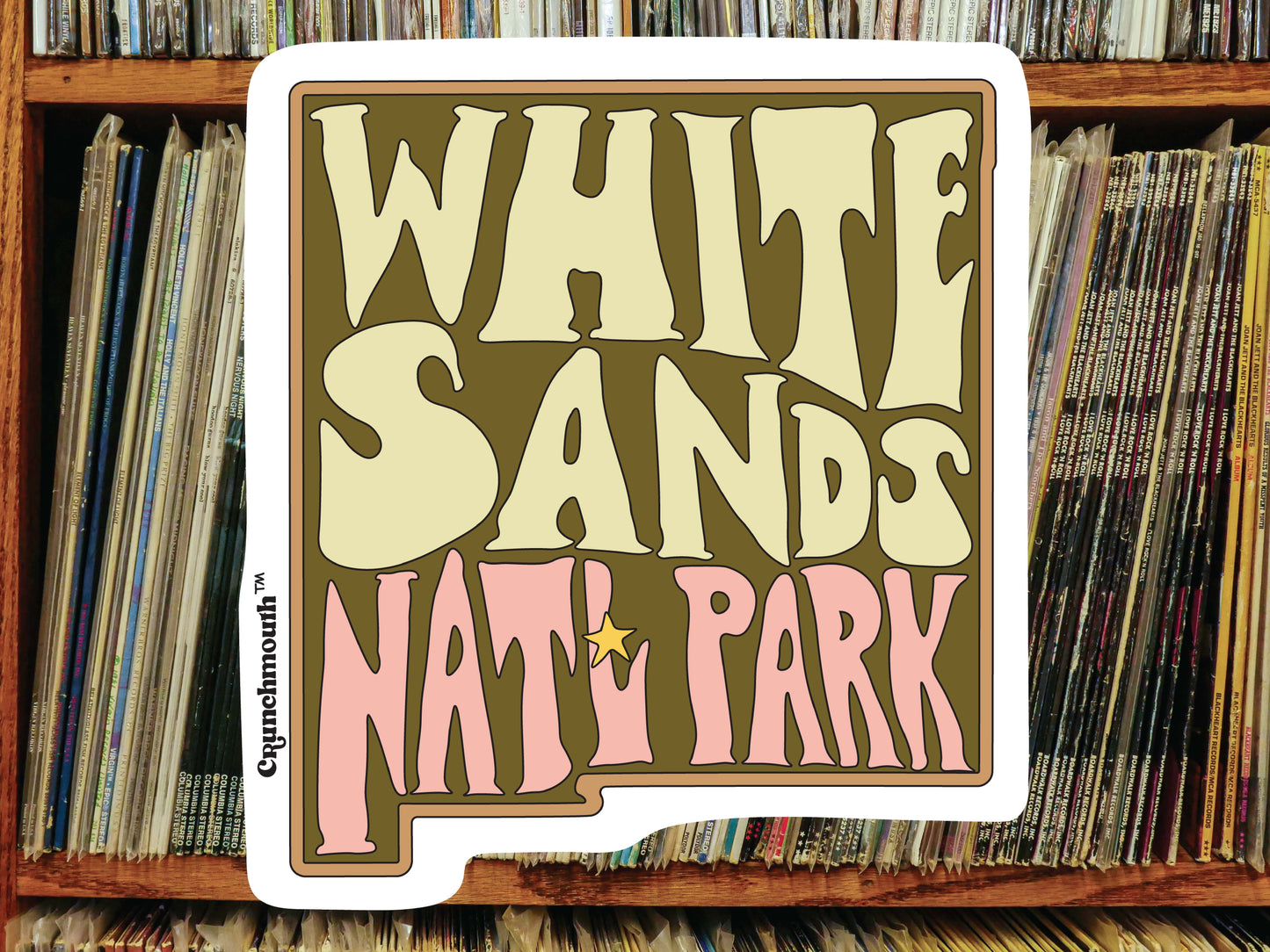 white sands national park water bottle sticker, vinyl record shelf background